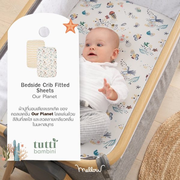 Cozee Fitted Sheets (Twin Pack) - ผ้าปูที่นอนสำหรับเตียง Cozee รุ่นมีลาย - Image 7
