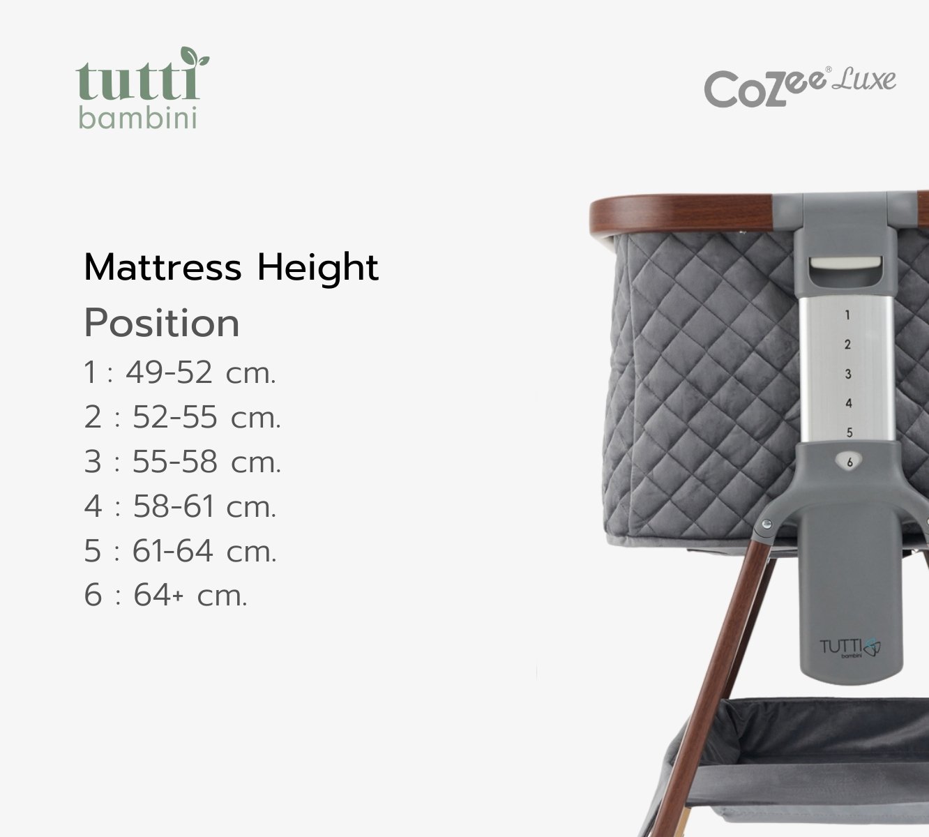 LINE_ALBUM_CoZee luxe_230124_10