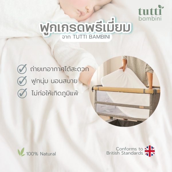Cozee Air Mattress Corn Fiber ฟูกสำหรับเตียง Cozee - Image 3