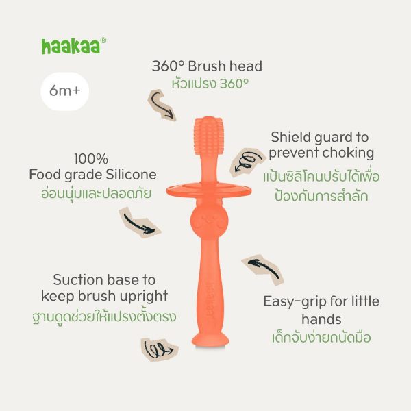 Haakaa 360° Silicone Toothbrush แปรงสีฟันซิลิโคน - Image 4
