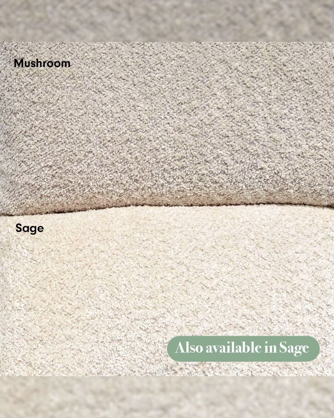 LINE_ALBUM_Oscar Luxe_251120_3