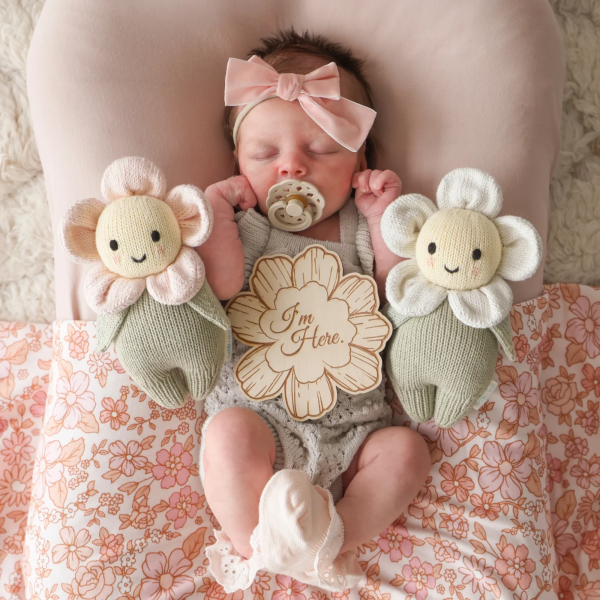 Baby daisy (blush pink) 7 inch - Image 3